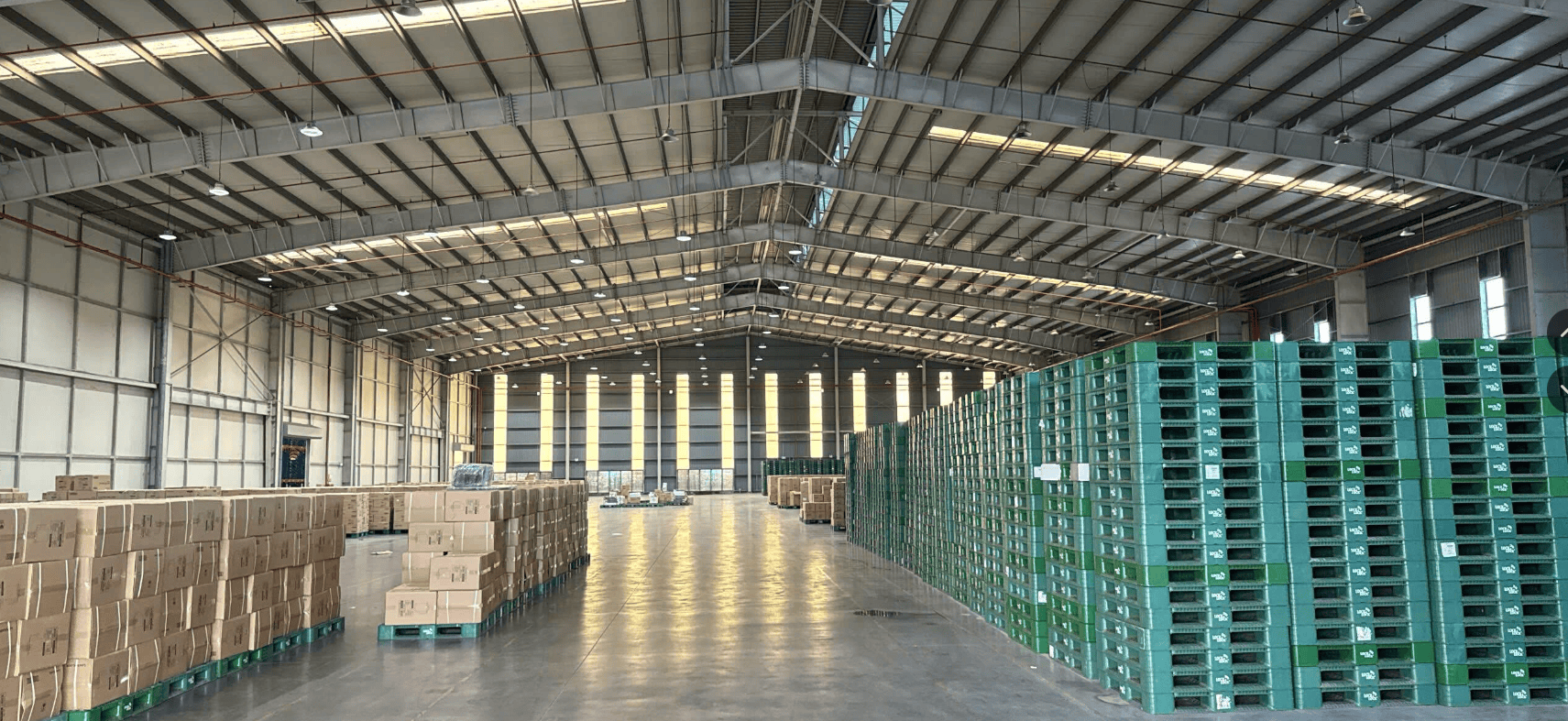Tổng thể bên trong nhà kho KCN Yên Phong 1 Tổng thể bên trong nhà kho KCN Yên Phong 1